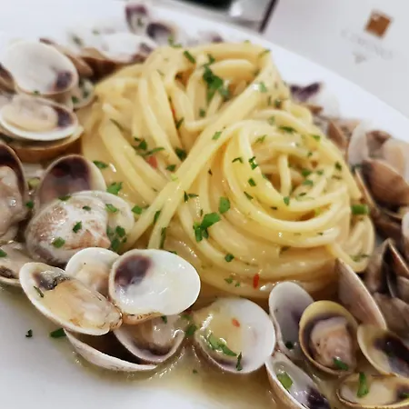 Hotell Vienna Ostenda E Ristorante Il Danubio 4*