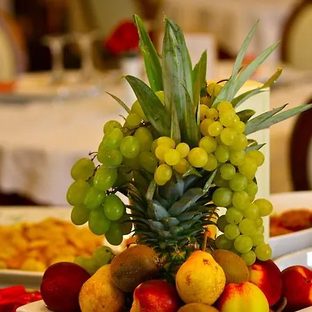 Hotel Vienna Ostenda E Ristorante Il Danubio Rímini
