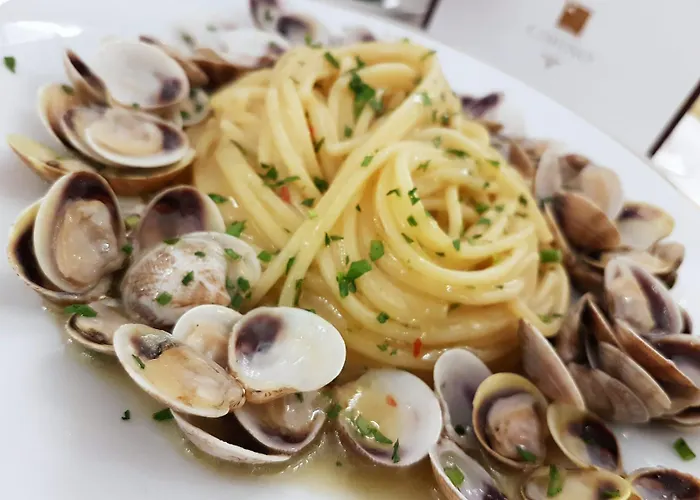 Hotel Vienna Ostenda E Ristorante Il Danubio 4*