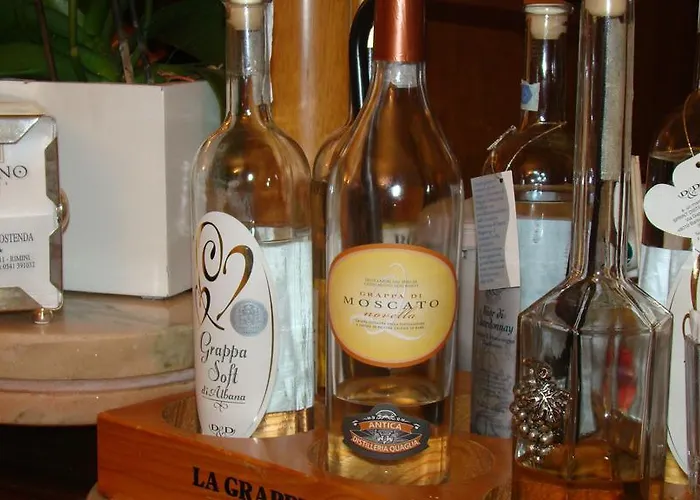 Vienna Ostenda E Ristorante Il Danubio