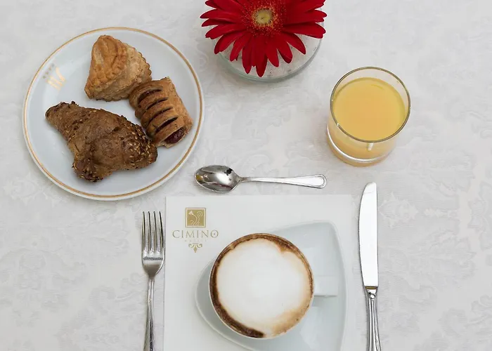 Vienna Ostenda E Ristorante Il Danubio 酒店