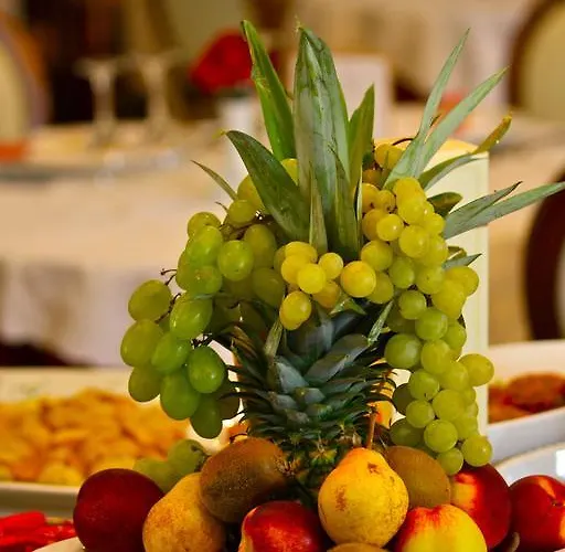 酒店 Vienna Ostenda E Ristorante Il Danubio 里米尼